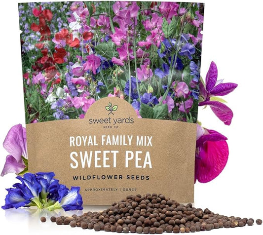 Sweet Pea Seeds Royal Mix - Bulk 1 Ounce Packet - Over 350 Seeds - Large Fragrant Lavender, Purple, Red, Pink and White Blooms-VerdiqueGarden