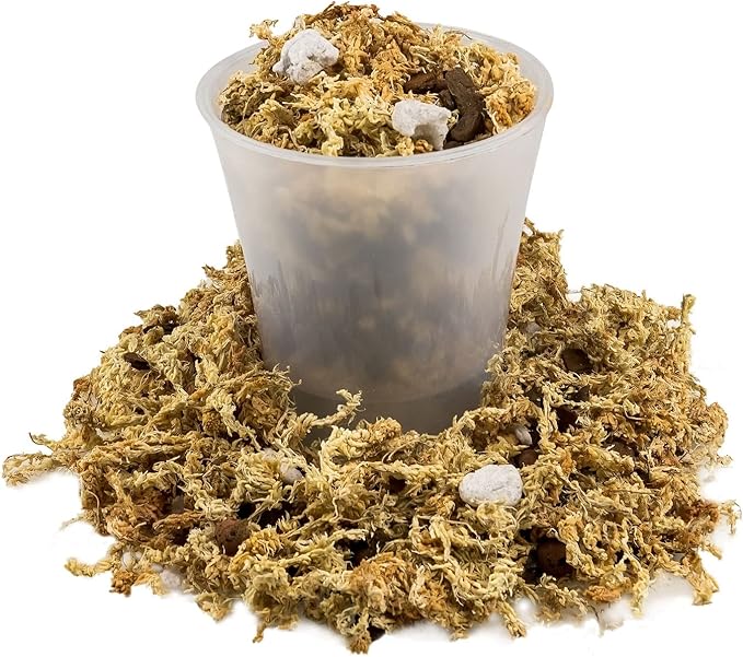 Premium Phalaenopsis Imperial Orchid Potting Mix - Hand Mixed in Small Batches | Great for Phalaenopsis of All Kinds - by GARDENERA - 5 Quart Bag-VerdiqueGarden