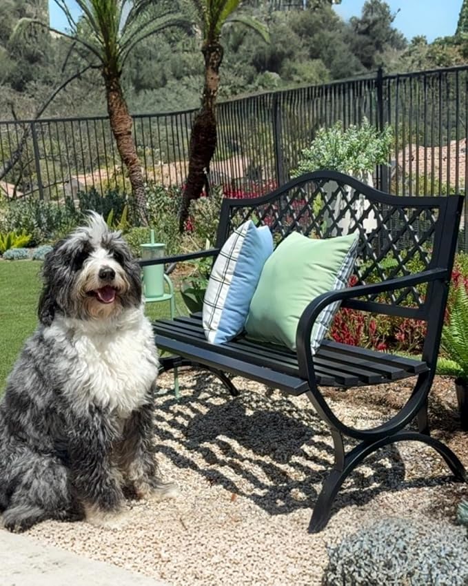 PHI VILLA 50" Outdoor Garden Patio Metal Bench for Outdoors with Plastic Backrest Armrests Sturdy Steel Frame, Black-VerdiqueGarden