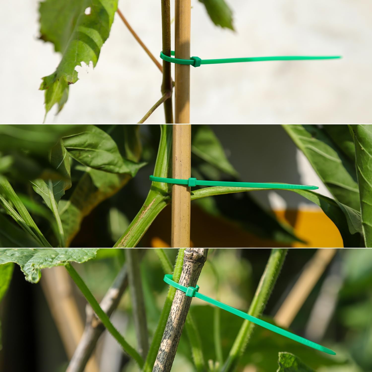 10 Inch Green Nylon Garden Zip Ties, 100 Pcs-VerdiqueGarden