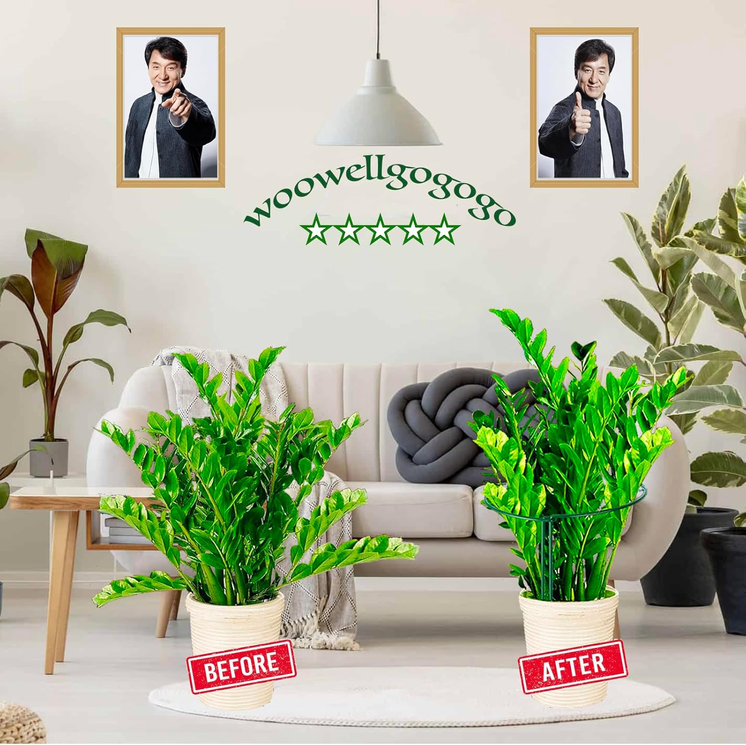 4 Pack Snake Plant Support Stakes, Peony Cages and Supports, Heavy-Duty Plant Stabilizer Support, Hydrangea Support Cage, Dahlia Support Ring, Plant Support Stake for Indoor and Outdoor Potted Plants-VerdiqueGarden