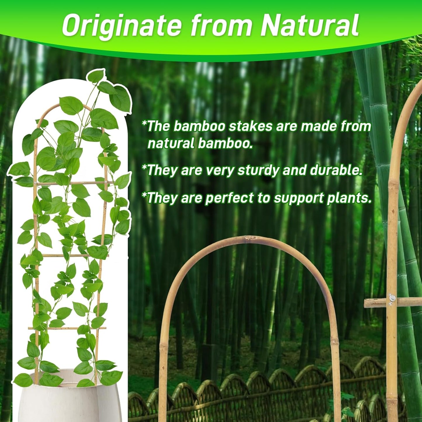 10 Pack 4ft U-Shape Bamboo Trellis for Climbing Plants, Natural Garden Trellis for Tomatoes, Cucumbers, Potted Plants, Vegetables Indoor Outdoor-VerdiqueGarden