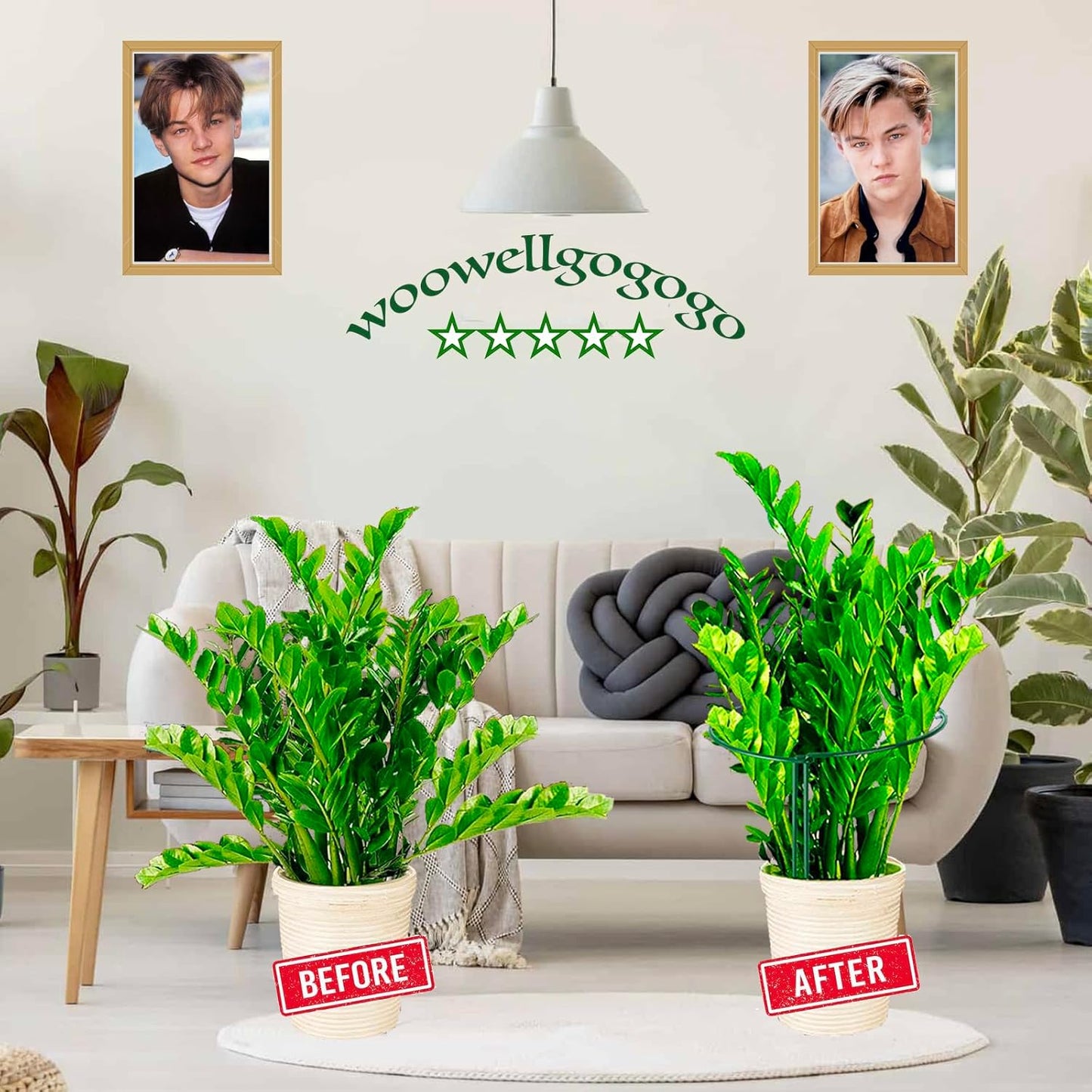 6-Pack Snake Plant Support Stakes, Half-Round Peony Cages and Supports, Green Plant Support Ring - Sturdy and Durable for Indoor and Outdoor Potted Plants, Such as Amaryllis, Peony, Hydrangea-VerdiqueGarden