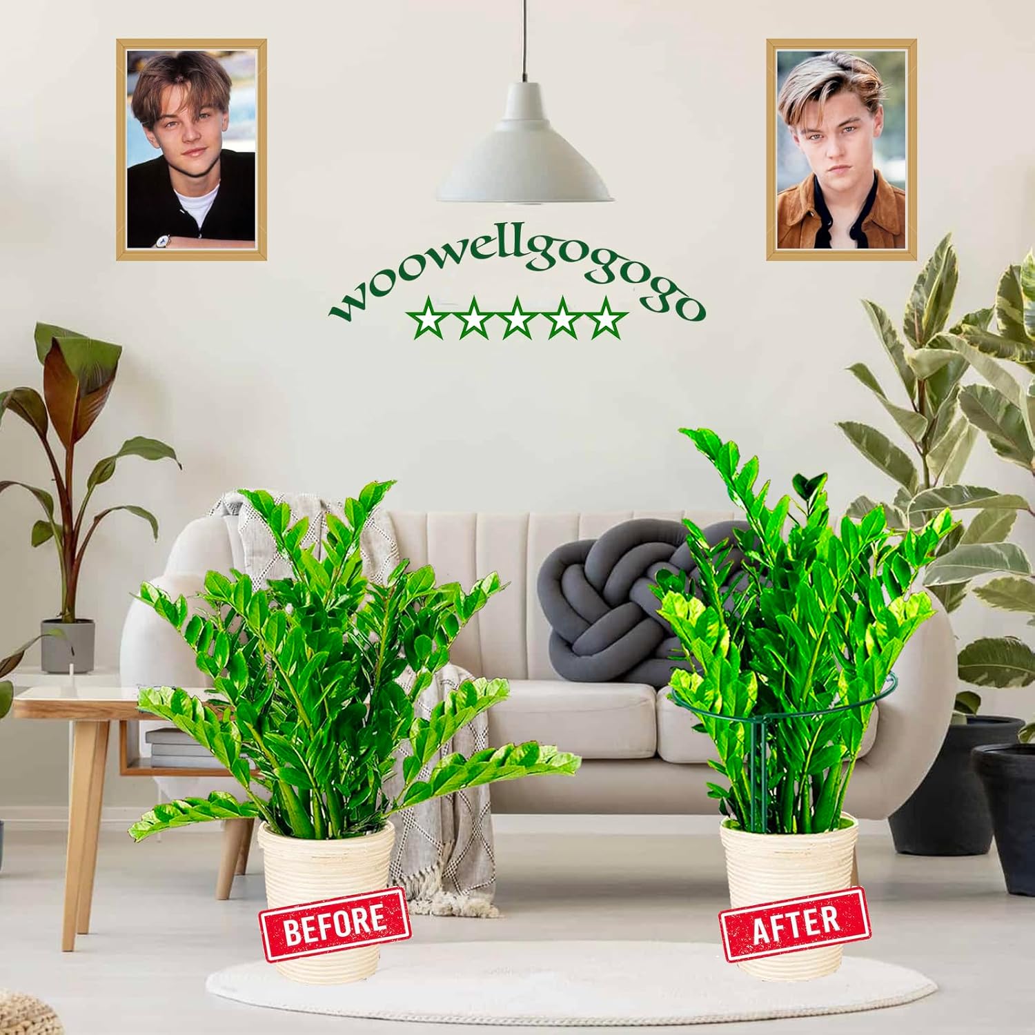 6-Pack Snake Plant Support Stakes, Half-Round Peony Cages and Supports, Green Plant Support Ring - Sturdy and Durable for Indoor and Outdoor Potted Plants, Such as Amaryllis, Peony, Hydrangea-VerdiqueGarden