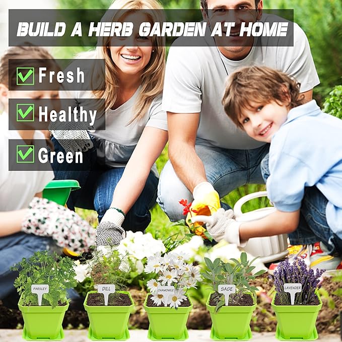 10 Herb Seeds Garden Starter Grow Kit with Green Pots, Markers, Nutritional Soil, Watering, Herb Clipper, Complete Indoor Potted Plant Growing Set for Kitchen DIY-VerdiqueGarden