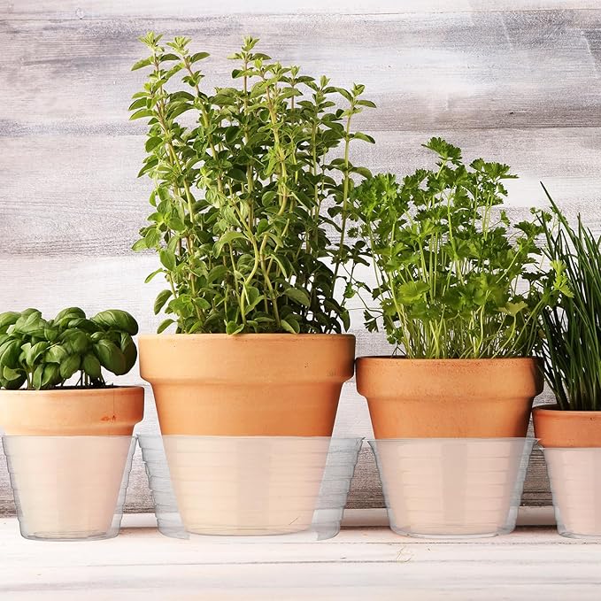 Hoolerry Plastic Plant Saucer Clear Deep Drip Tray Thickened Clear Plant Saucers Trays for Pots Deep Drip Trays for Home Garden Indoor and Outdoor Potted(20 Pcs,6, 8, 10, 12 Inch)-VerdiqueGarden