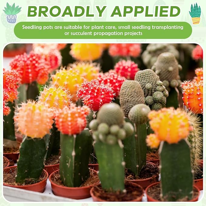 Yaomiao 200 Pcs 2 Inch Red Mini Plastic Plant Pot Nursery Seedling Pots Seed Starter with Drainage Holes for Indoor Outdoor Garden Succulent Plants Cuttings Transplanting-VerdiqueGarden