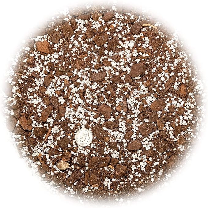 Palm Tree Potting Mix - The Ultimate Soil for Strong and Healthy Palms - Top Choice for Palm Tree Growers ? [20 Quart Bag]-VerdiqueGarden