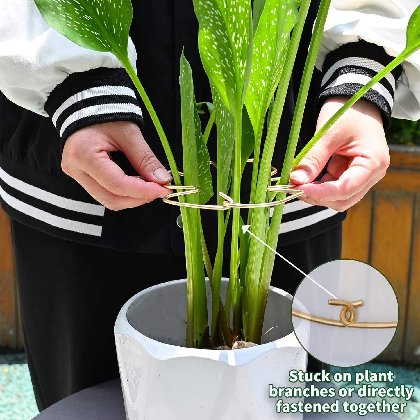 5.5 * 4.7IN Monstera Stem Support Stake with Clips - 5Pcs Durable Climbing Plant Support for Monstera, Fishbone Cactus, Easy Installation, for Plant Lovers-VerdiqueGarden