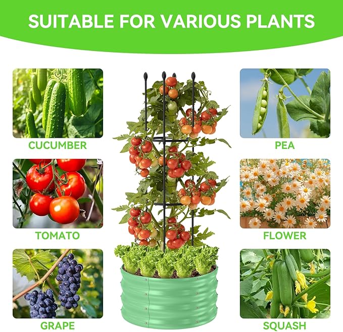 1 Pack Raised Garden Beds Outdoor, Galvanized Metal Raised Garden Bed with Trellis, 23.6x23.6x60in Tomato Cages for Garden Planters Box with Trellis for Climbing Plants Vegetable Vine Flowers-VerdiqueGarden