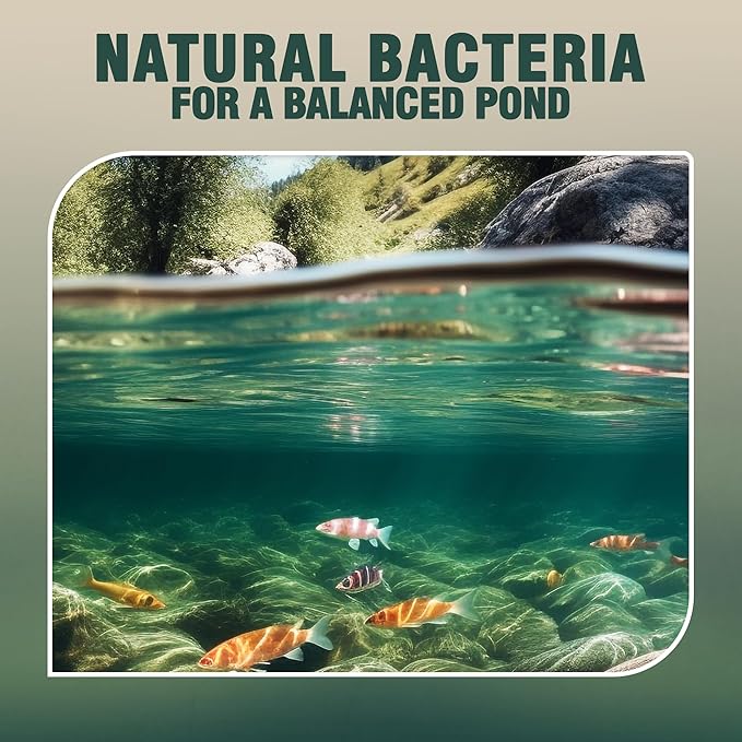 Webb's Water Gardens Microbe-Lift PL Beneficial Bacteria for Ponds and Water Features - Ideal for Wildlife and Aquatic Pets, 1.05 gallons-VerdiqueGarden