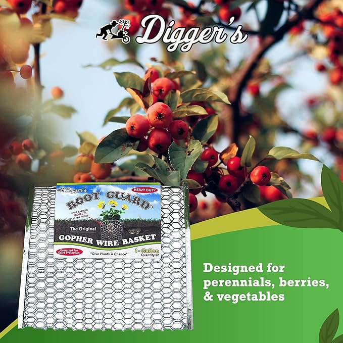 Digger’s 1-Gallon Heavy-Duty Wire Basket - Gopher Wire Basket for Perennials & Vegetables (12 Baskets)-VerdiqueGarden