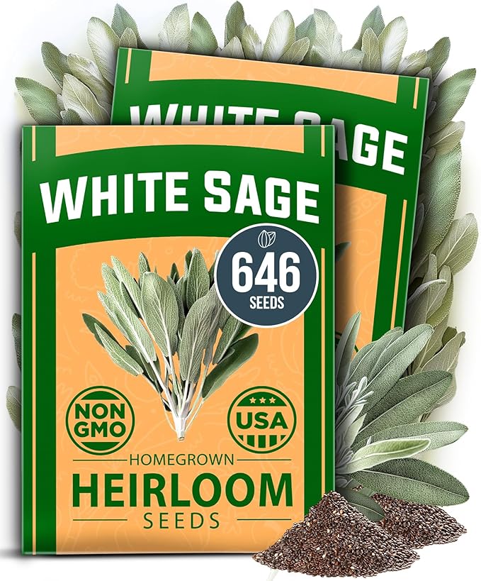 HOME GROWN White Sage Seeds 646 Pack 𝗡𝗢𝗡-𝗚𝗠𝗢, 𝗨𝗦𝗔-𝗦𝗢𝗨𝗥𝗖𝗘𝗗 Heirloom Seeds - Grow Aromatic Sage Plants for Your Herb Seeds Garden with Sage for Planting Outdoor or Indoor (Salvia apiana)-VerdiqueGarden