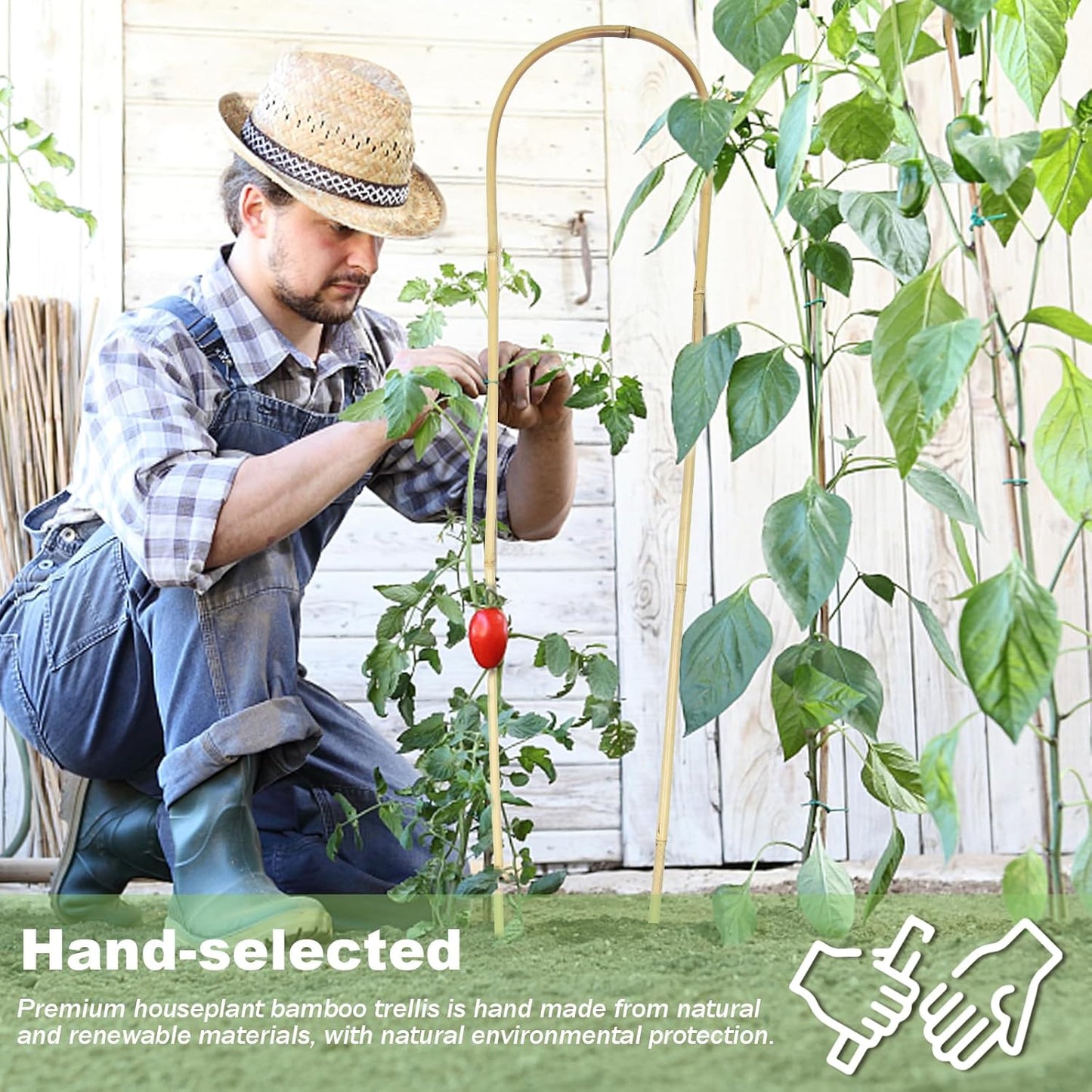 Natural U-Hoops Bamboo Plants Trellis 3Ft, Garden Trellis U-Shape for Climbing Plants, Garden Arch Trellis Support for Potted Plants, Vines, Ivy Climbing Plants, Flowers-3 Pack-VerdiqueGarden