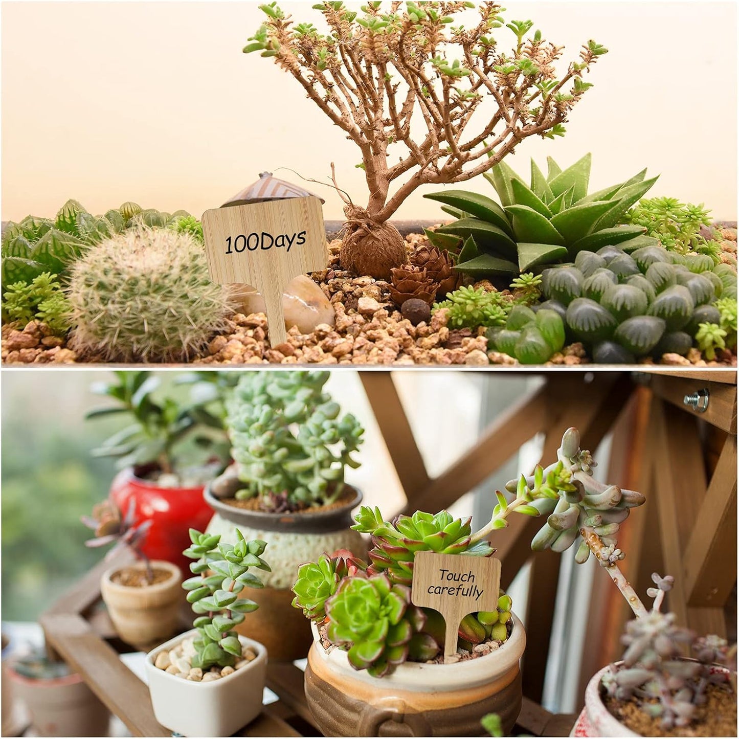 100Pcs Wooden Plant Labels, Eco-Friendly T-Type Bamboo Plant Labels Tags Garden Plant Markers for Seed Potted Herbs Flowers Vegetables (6 x 10 cm)-VerdiqueGarden