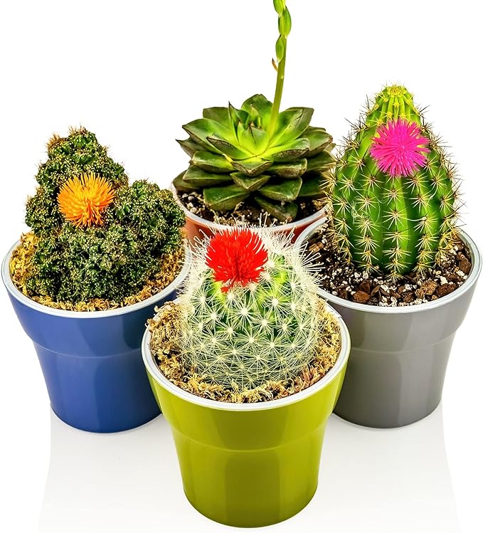 Sphagnum Moss Potting Mix for Carnivorous Plants - 10 Quart - Moss and Perlite Blend for Potting Venus Fly Traps, Sarracenia, Pitcher Plants (2 Bags of 5QT)-VerdiqueGarden