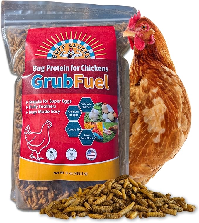 Grub Fuel Black Soldier Fly Larvae for Chickens - Nutrient-Packed BSFL, Sustainably Sourced Snack for Poultry, Rich in Protein, Calcium, Fiber, Essential Fatty Acids, USA Grown (1LB)-VerdiqueGarden