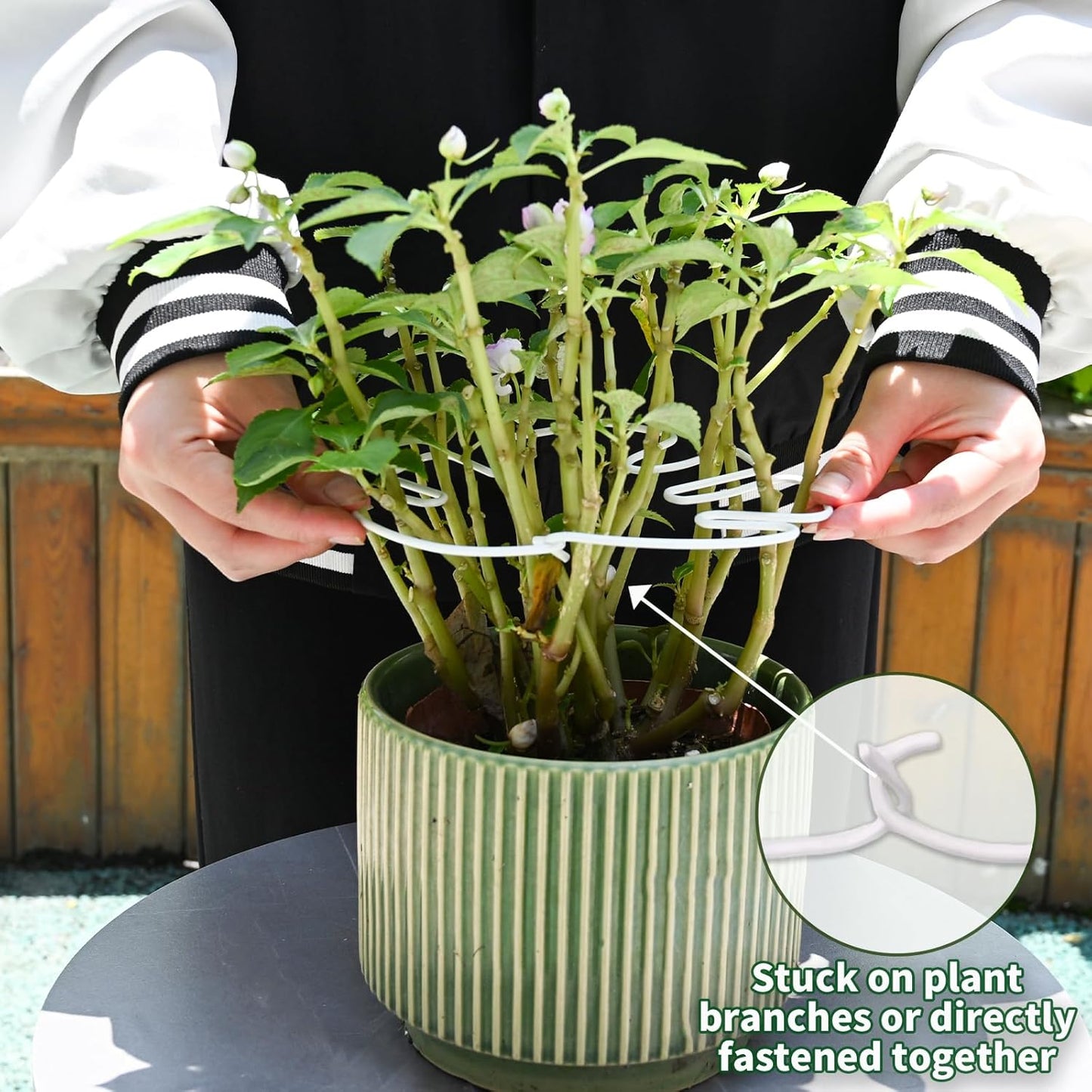 White Monstera Plant Stem Support - 5PCS 7.3x6.25in Durable Adjustable Garden Stake for Indoor Plants, Fishbone Cactus Holder, Innovative Leaf Clip Set, Ideal Tool for Healthy Plant Growth-VerdiqueGarden