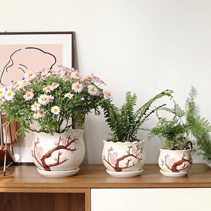 Ceramic Plant Pots with Drainage Holes and Saucers, Round Flower Pots for Indoor Plant, 3.9/5.2/6.7 Inches Small Flower Planters Set of 3-VerdiqueGarden