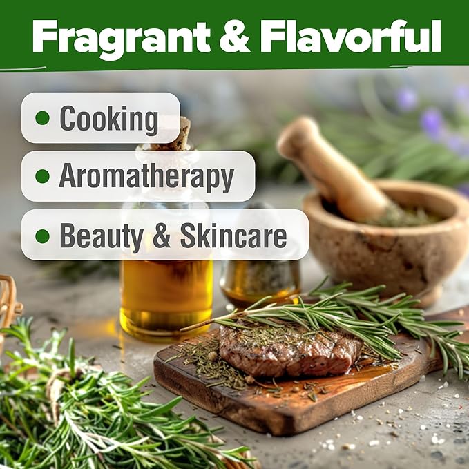 HOME GROWN 𝗨𝗦𝗔 𝗣𝗥𝗘𝗠𝗜𝗨𝗠 Rosemary Seeds Pack - 150 High Germinating 𝗡𝗢𝗡-𝗚𝗠𝗢 Heirloom Herb Seeds for Planting in Indoor or Outdoor Herb Gardens (Salvia rosmarinus)-VerdiqueGarden