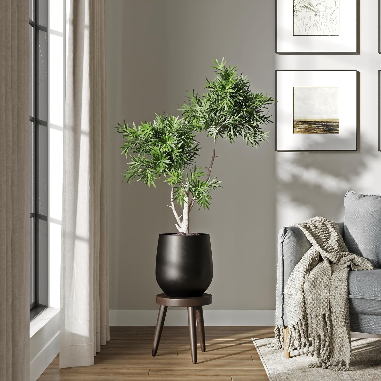 DTY Signature Mount Wilson Lightweight and Durable Modern Fiberstone Tapered Planter for Indoor Outdoor Drainage Hole & Rubber Plug Weather Resistant, 11.8" H x 11" Dia (8" Opening) - Small, Black-VerdiqueGarden