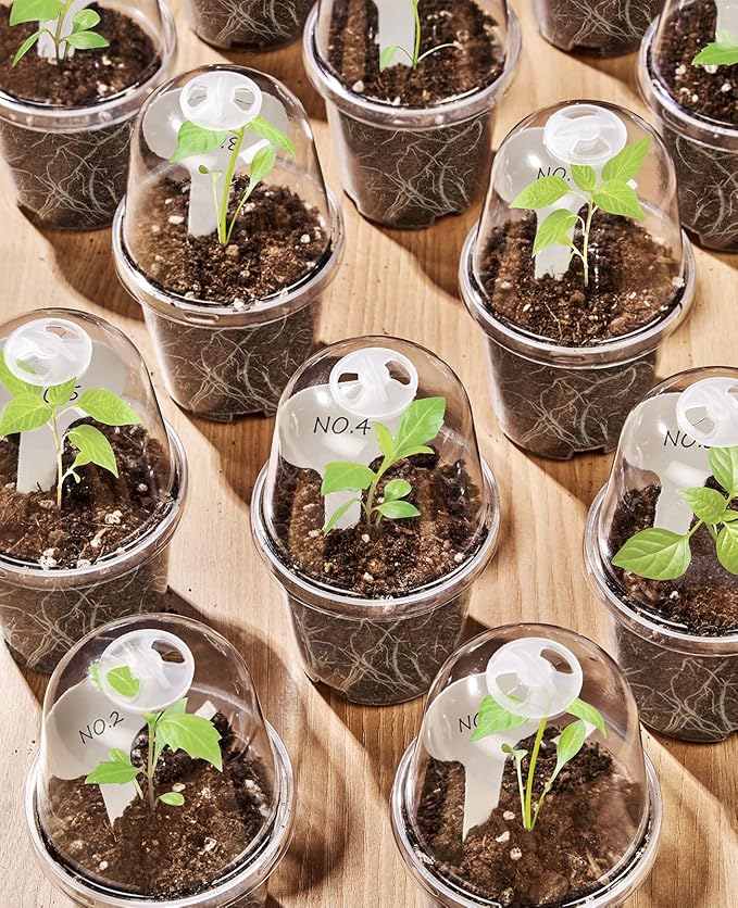 homenote Clear Nursery Pots for Plants,3 Inch Plant Pot for Planting with Humidity Domes Plastic Seedling with Drainage Holes Seed Starter Flower High Transparency (30 Pack)-VerdiqueGarden