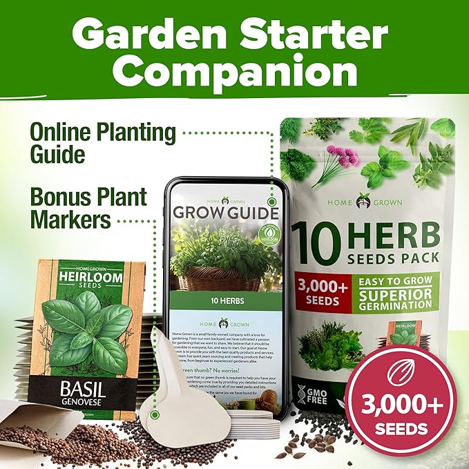 HOME GROWN 10 Herb Seeds for Planting 3,000+ Non-GMO Heirloom Seeds | Extra Large Variety Pack Herb Kit – Indoor Outdoor & Hydroponic | Culinary Seed Set | Grow Your Own Herbs | Gift for Beginners-VerdiqueGarden