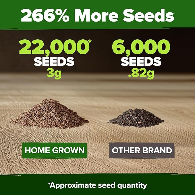 Home Grown Purple Creeping Thyme Seeds – Non-GMO Ground Cover Flowers – 22000+ Edible Herb Seeds for Planting Lawns & Paths – 3g Perennial Thymus serpyllum-VerdiqueGarden