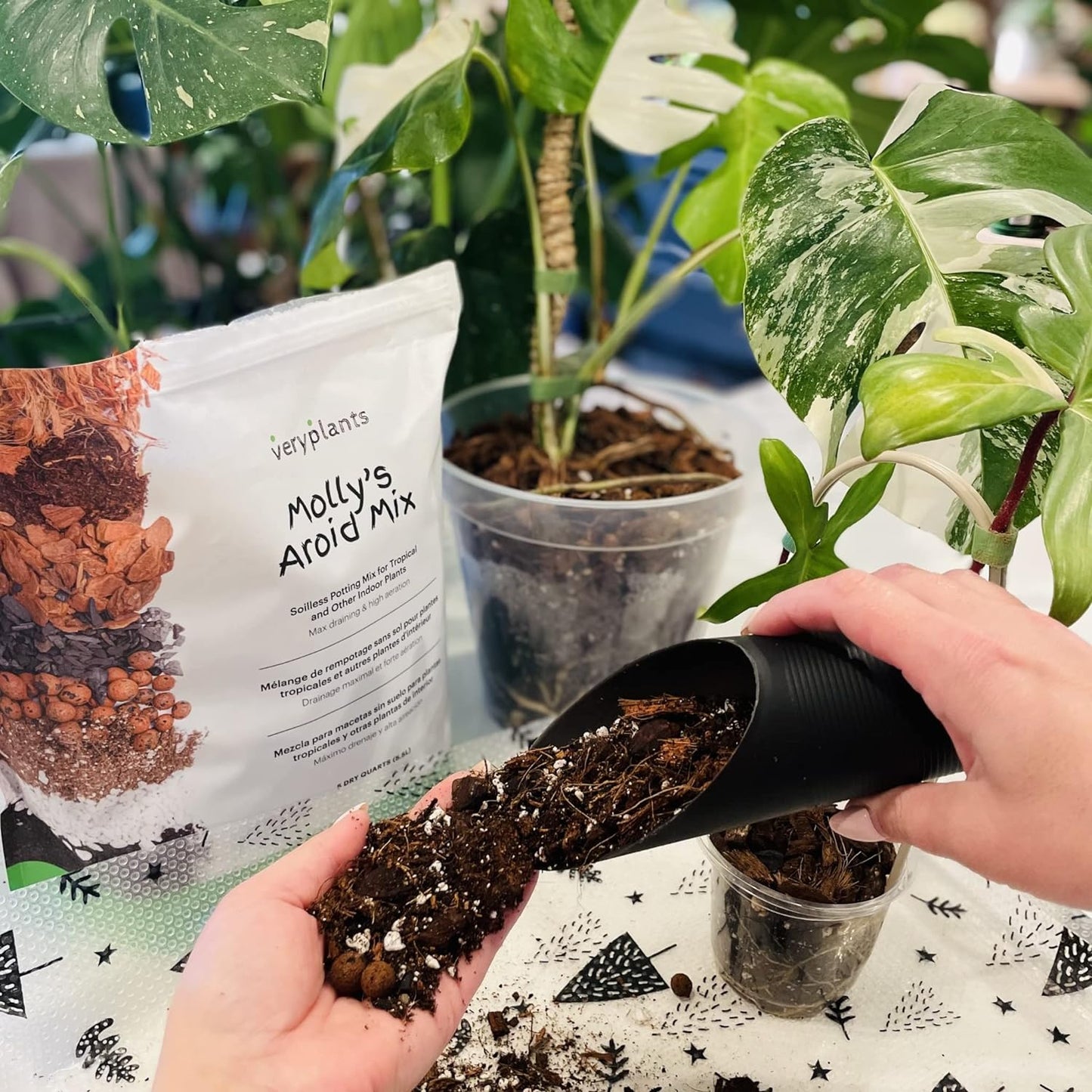 Molly's Aroid Mix - Premium Soilless Potting Mix for Houseplants - Fast Draining, Chunky & Easier to Water vs. Soil for Indoor Plants - with Bark, Coco Chips, Worm Castings, Mycorrhizae 10 Dry Quarts-VerdiqueGarden