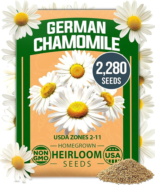HOME GROWN 𝗨𝗦𝗔 𝗣𝗥𝗘𝗠𝗜𝗨𝗠 German Chamomile Seed Pack – 2,280 𝗡𝗢𝗡-𝗚𝗠𝗢 Heirloom Seeds for Planting for Sustainable Gardens and Soothing Medicinal Herbal Teas (Matricaria chamomilla)-VerdiqueGarden