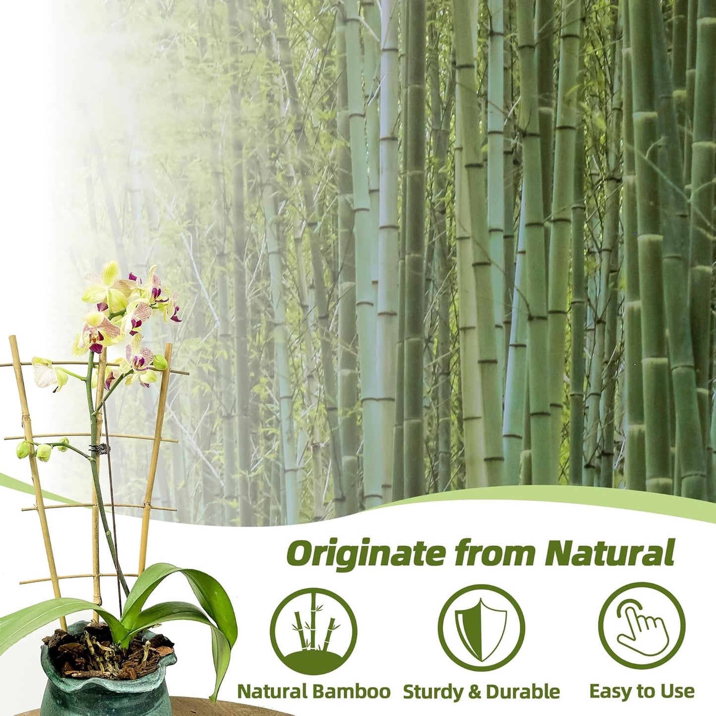 Bamboo Trellis for Climbing Plants 20 Pack, 16 Inch Garden Ladder Trellis for Potted Plants Indoor, Small Plant Support Trellis for Houseplants Vine-VerdiqueGarden