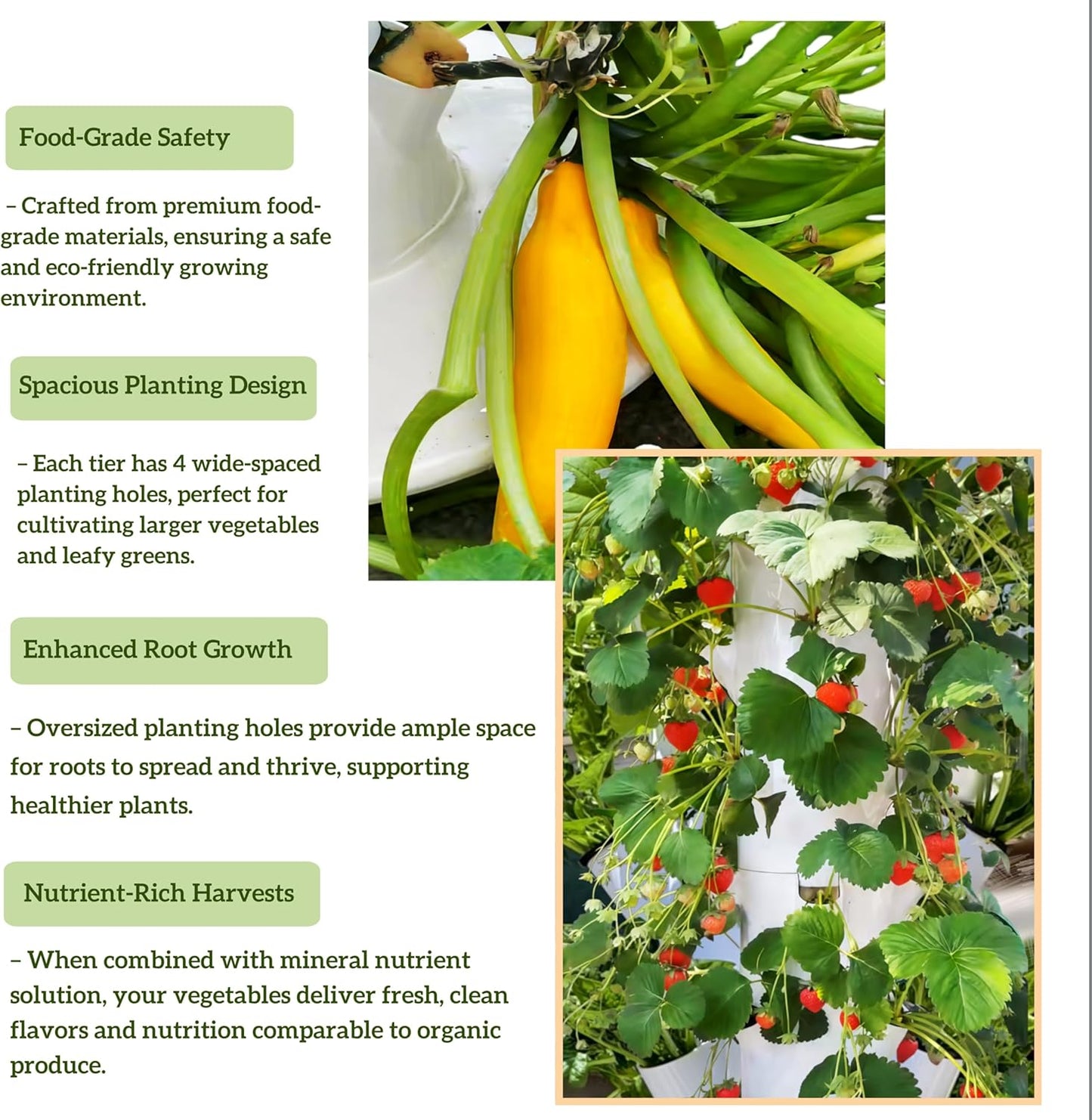 Hydroponic Growing System Kit, Vertical Hydroponic Tower with Trellis, Indoor & Outdoor Herb Garden, Vegetable Tower with 40 Planting Pods, Automatic Timer, Ideal for Gardeners & Beginners-VerdiqueGarden