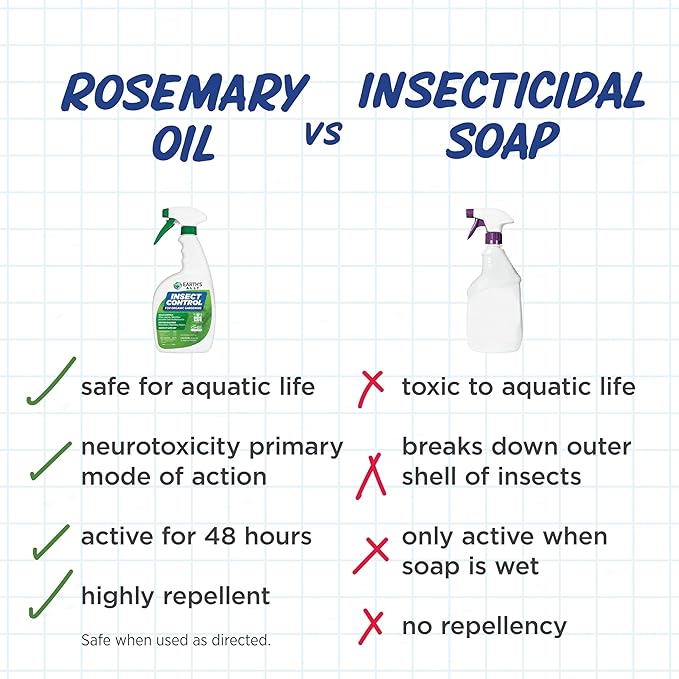 Earth's Ally Insect Control Concentrate for Plants 32 oz | Safe Outdoor & Indoor Plant Insecticide, Spider Mite, Aphid & Mealybug Killer - for Organic Garden & Household Plants-VerdiqueGarden