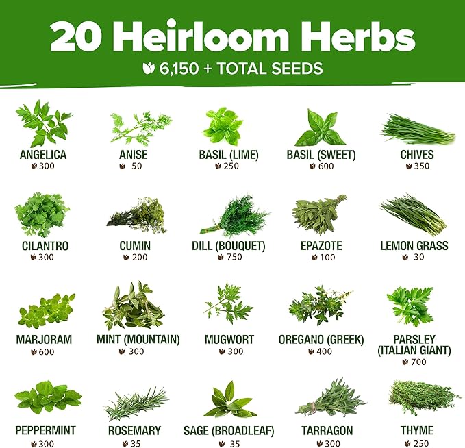 HOME GROWN 20 Herb Seeds for Planting 6,000+ Non-GMO Heirloom Seeds | Extra Large Variety Pack Herb Kit – Indoor Outdoor & Hydroponic | Culinary Seed Set | Grow Your Own Herbs | Gardening Gift-VerdiqueGarden
