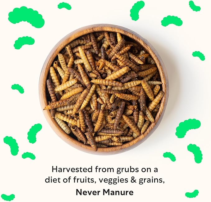 Grubblies - Black Soldier Fly Larvae for Chickens - Chicken Treats Grown in The US and Canada - for Strong Eggshells and Healthy Feathers - Grubblies Hometown Harvest 1LB-VerdiqueGarden