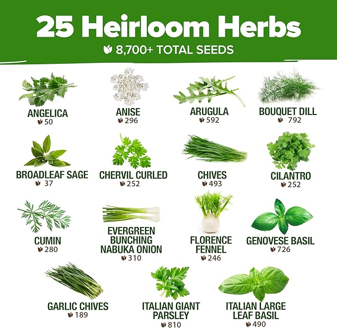 HOME GROWN 25 Herb Seeds for Planting 8,700+ Non-GMO Heirloom Seeds | Extra Large Variety Pack Herb Kit – Indoor Outdoor & Hydroponic | Culinary Seed Set | Grow Your Own Herbs | Gardening Gift-VerdiqueGarden