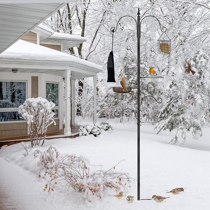 Premium Bird Feeding Station Kit - Multi Feeder Hanging Set with Suet Cage, Bird Bath & Finch Sock Attractors-VerdiqueGarden