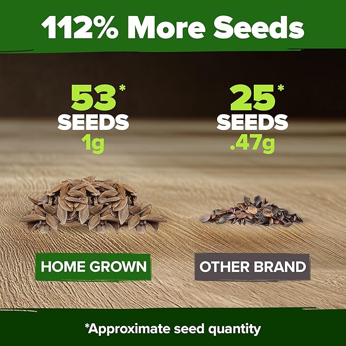 HOME GROWN 𝗨𝗦𝗔 53 White Lilac Flower Seeds Non-GMO, Heirloom Tree Seeds for Planting, Fragrant Flowering Tree Seeds for Landscaping, Pollinator Gardens, and Ornamental Borders (Syringa reticulata)-VerdiqueGarden