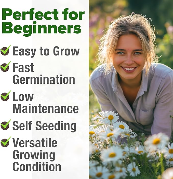 HOME GROWN 𝗨𝗦𝗔 𝗣𝗥𝗘𝗠𝗜𝗨𝗠 German Chamomile Seed Pack – 2,280 𝗡𝗢𝗡-𝗚𝗠𝗢 Heirloom Seeds for Planting for Sustainable Gardens and Soothing Medicinal Herbal Teas (Matricaria chamomilla)-VerdiqueGarden