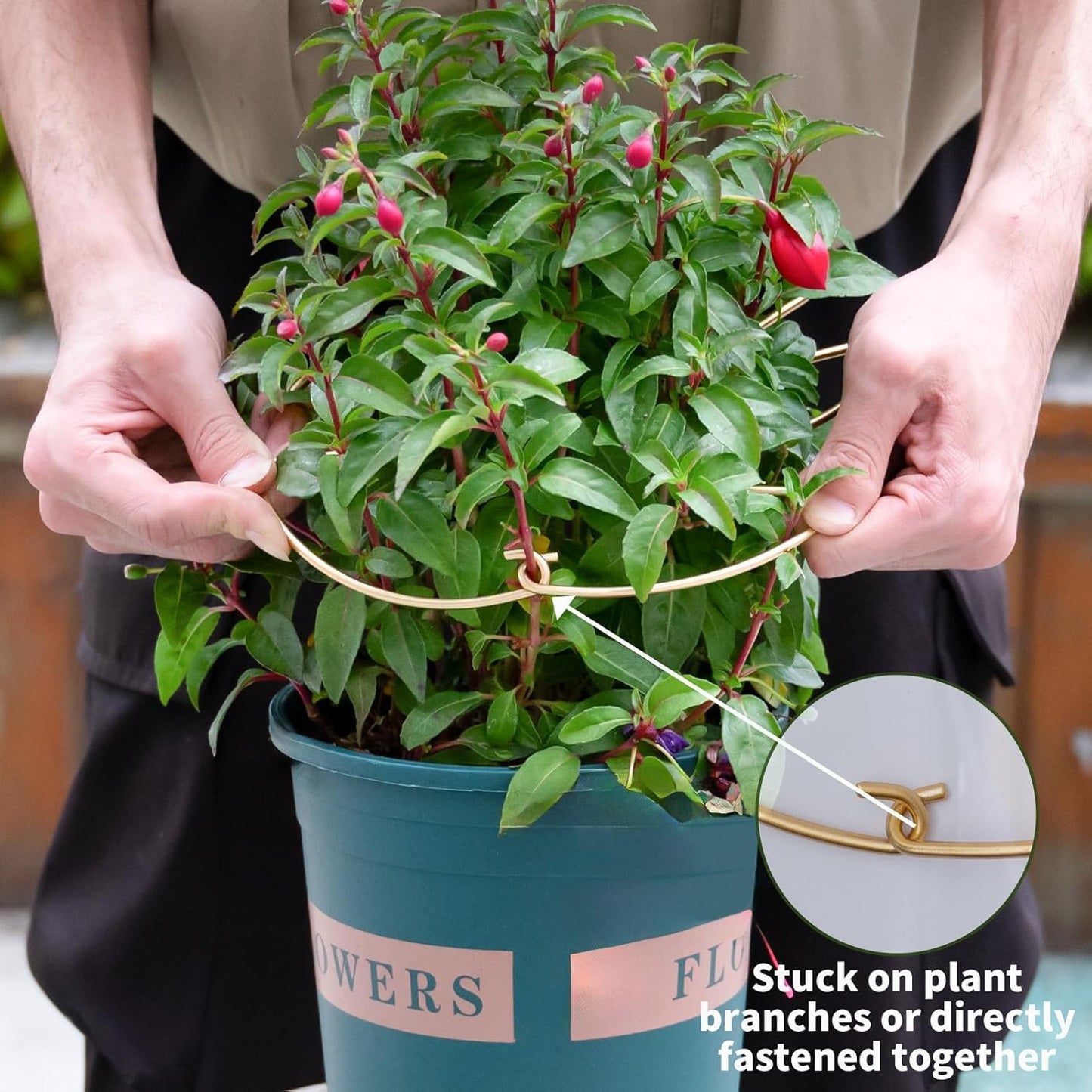 5PCS Durable Monstera Plant Stem Support Stake with Adjustable Leaf Holders - Plant Support Kit for Indoor Botanicals, Cactus Stabilizers, and Turtle Shell Climbers - Ideal for Plant Enthusiasts-VerdiqueGarden