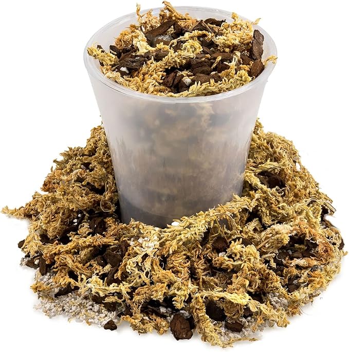 Premium Sphagnum Moss, Perlite and New Zealand Pine Bark Blend for Carnivorous Plants - 20 Quart - Perfect for Venus Fly Traps, Pitcher Plants, Sarracenia, Butterworts, and Sundews by GARDENERA-VerdiqueGarden