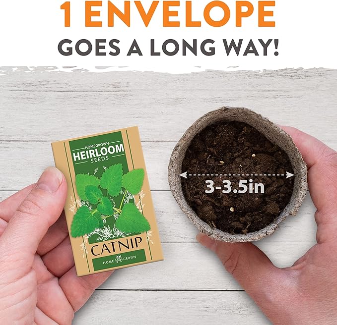 HOME GROWN 3200+ Cat Grass – 𝗡𝗢𝗡-𝗚𝗠𝗢 𝗨𝗦𝗔 Grown Catnip, Alfalfa, Oat, Cat Grass Mix – Indoor Cat Grass Kit Refill – High-Germination Pet Grass for Hairball Relief & Digestion-VerdiqueGarden