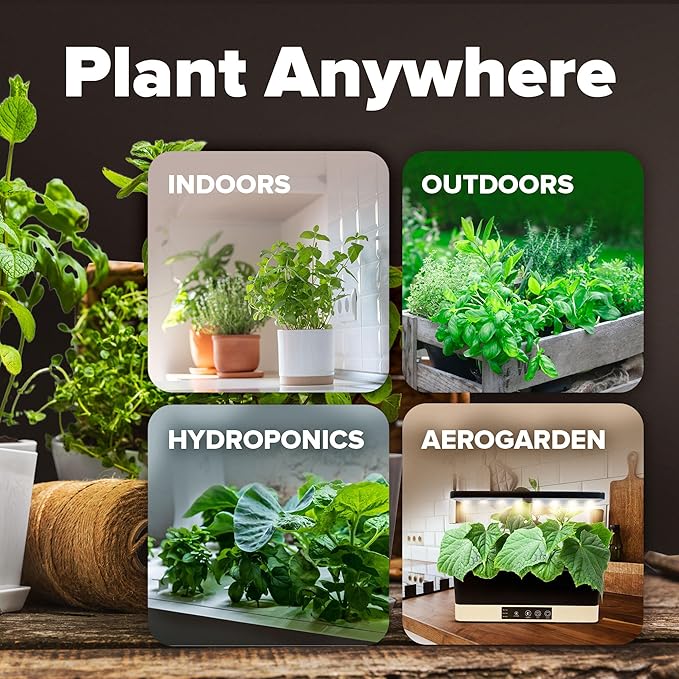 HOME GROWN 6000 Vegetable Seeds for Planting: 12 Spring Varieties of Garden Vegetables in Seed Packets, Garden Seeds for Garden Plants or Hydroponic Seeds - Heirloom Seeds - Non GMO-VerdiqueGarden