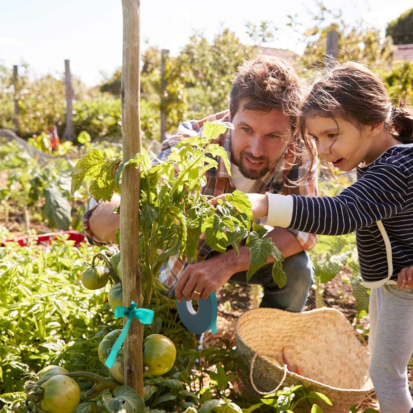Coobbar Stretch Tie Tape, 0.5 Inch Wide Stretch Tie Tape Garden Tie Tape Thick Plant Ribbon Garden Green Vinyl Stake for Indoor Outdoor Patio Plant Use (600 Feet)-VerdiqueGarden
