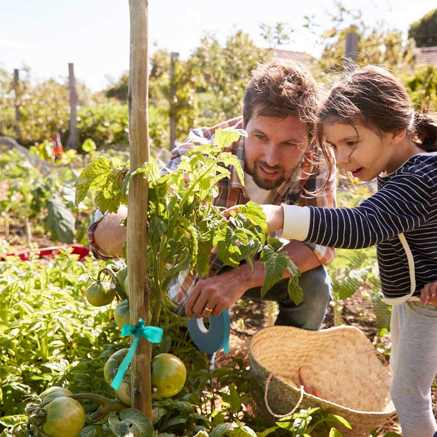 Coobbar Stretch Tie Tape, 0.5 Inch Wide Stretch Tie Tape Garden Tie Tape Thick Plant Ribbon Garden Green Vinyl Stake for Indoor Outdoor Patio Plant Use (600 Feet)-VerdiqueGarden