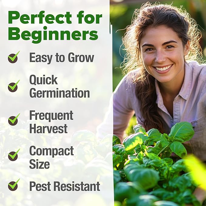 HOME GROWN 𝗨𝗦𝗔 𝗣𝗥𝗘𝗠𝗜𝗨𝗠 Genovese Basil Seeds Pack 1,750+ High Germination 𝗡𝗢𝗡-𝗚𝗠𝗢 Heirloom Seeds (Ocimum basilicum) Herb Seeds for Planting Indoor & Outdoor Gardening, for Culinary Use-VerdiqueGarden