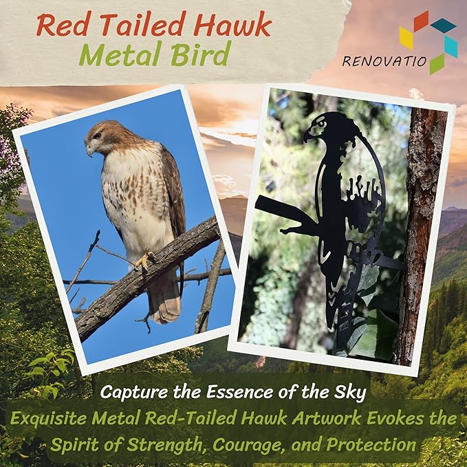 Renovatio Metal Hawk - Metal Bird Yard Decor - Tree Stake & Outdoor Art - Metal Garden Sculpture - Rusty Metal Birds Ornaments - Outdoor Bird Decorations for Garden-VerdiqueGarden