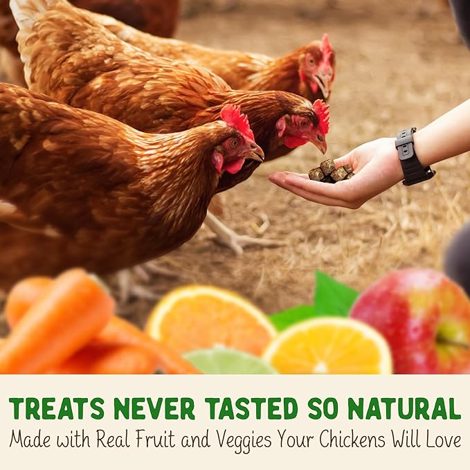 Doc Eddie’s Backyard Chicken Supplement - Plant-Based Treats for Egg Laying Hens - Poultry Feed Enrichment Made with Omega 3 Rich Algae - Essential for Immune Health, Feather Regrowth, Egg Production-VerdiqueGarden