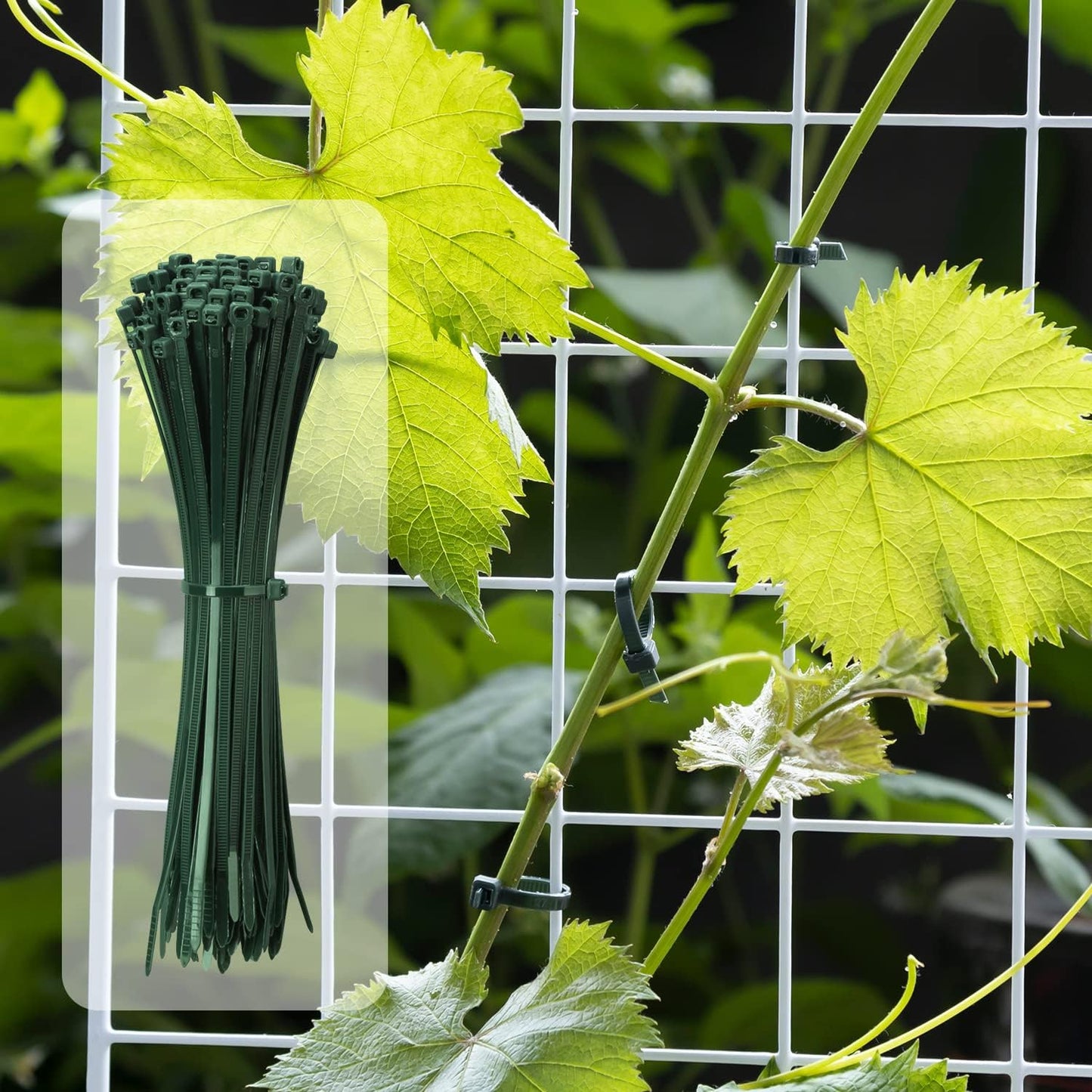 8 Inch Garden Green Zip Tie 1000 PCS, 40 Lbs - Small to Medium Zip Tie, Nylon PA66 UV Resistant Cable Tie Heavy Duty for Indoor and Outdoor Use - Ideal for bundling and securing objects-VerdiqueGarden