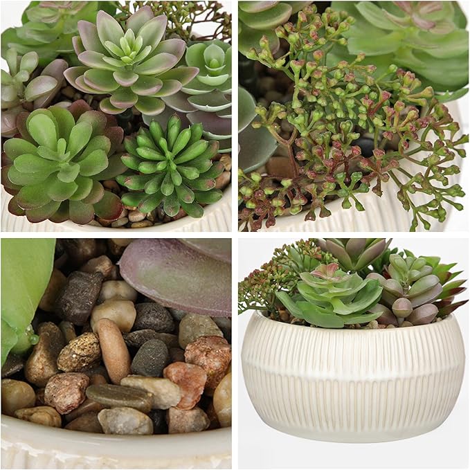 DILATATA Artificial Succulent Plants in Pot 5.5 Inch Fake Succulents Arrangement Potted Plant in White Ceramic Planter Bowl for Home Office Desk Shelf Living Room Bedroom Bathroom Decor-VerdiqueGarden